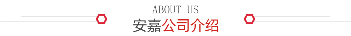 安嘉公司介紹